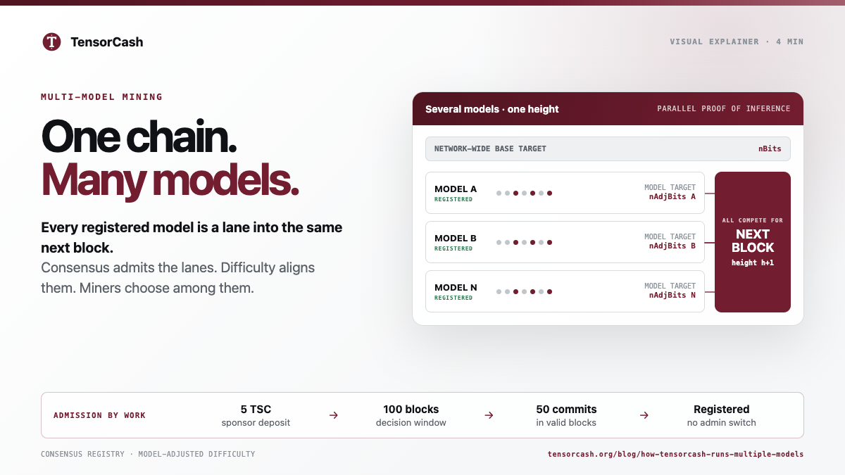 Infographic: One chain, many models: how TensorCash runs multiple AI models